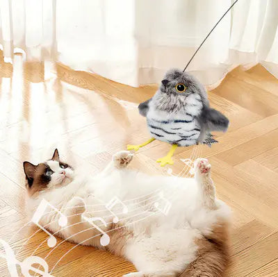 Interactive Cat Toy